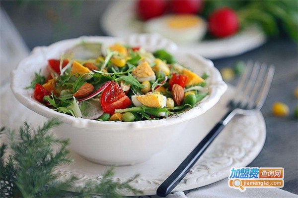 轻食光沙拉加盟费