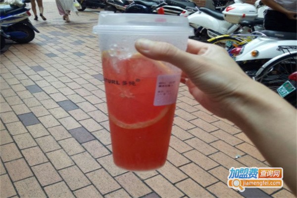 多纯贡茶