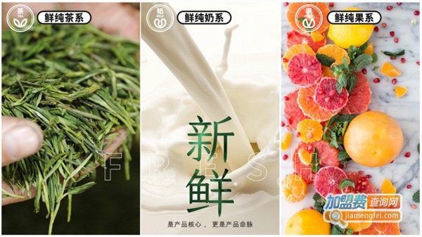 天然呆奶茶加盟