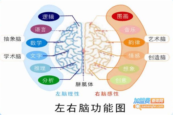 博文广记全脑阅读