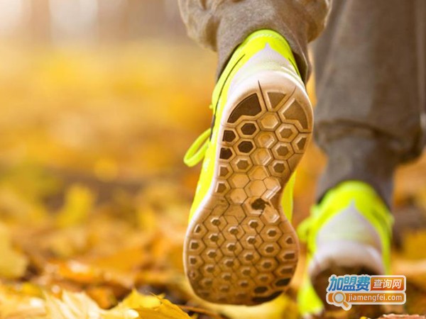 纤体减肥店加盟费