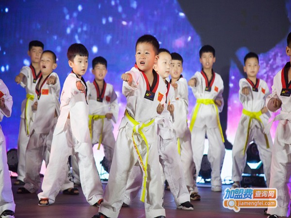 环亚枫叶艺术教育