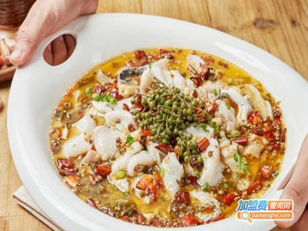 大师兄西北风味专门店加盟费