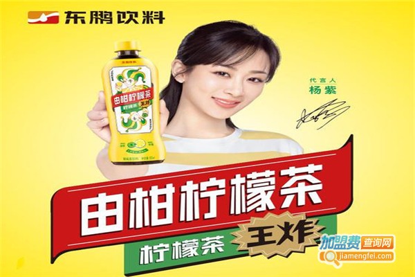 东鹏饮料加盟费