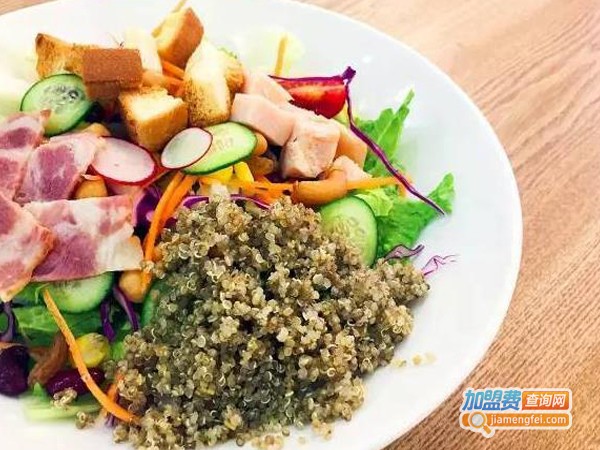 轻蔬膳·轻食沙拉加盟费