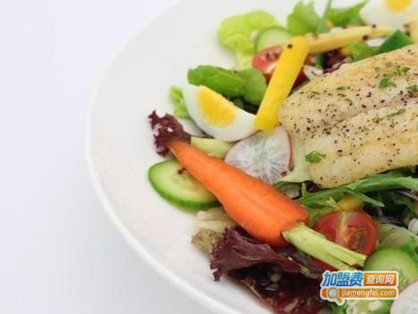 轻蔬膳·轻食沙拉加盟费