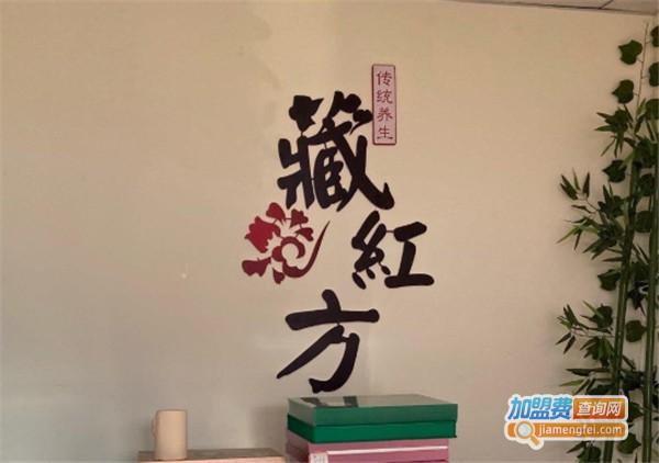 藏红方艾灸加盟