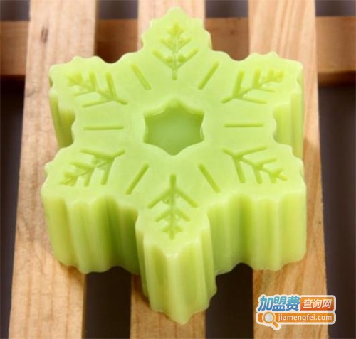 雅佳丽手工皂加盟费