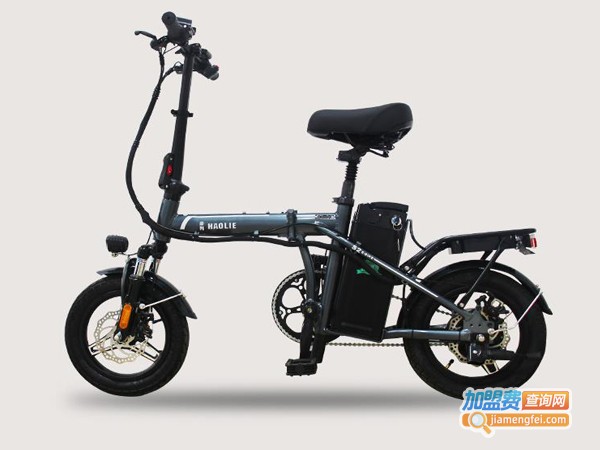 豪列电动车加盟费