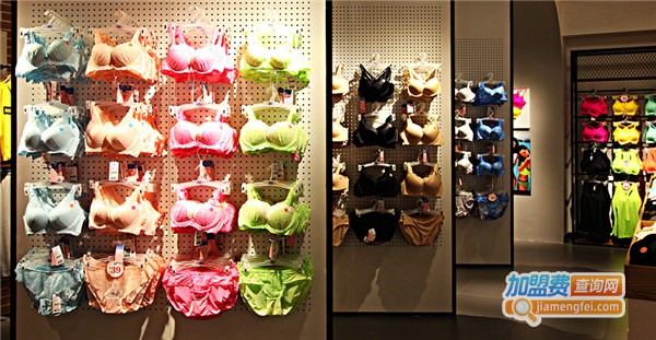 BD摩登内衣加盟