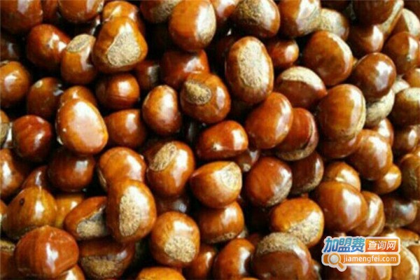 精品炒货店加盟费