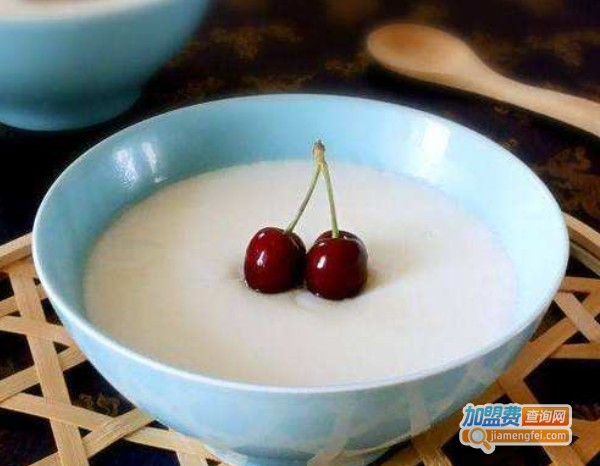 何十三双皮奶加盟费