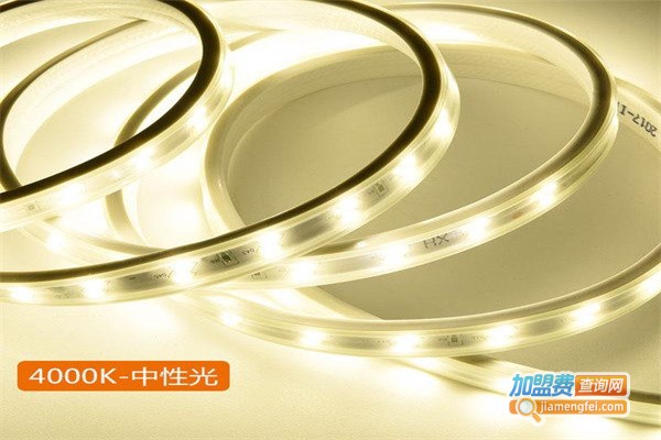 雷欧集成吊顶加盟