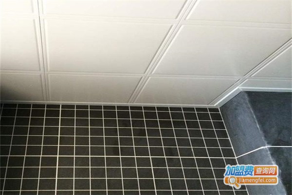 雷欧集成吊顶加盟