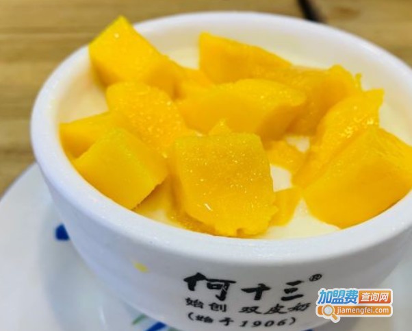 何十三双皮奶加盟费