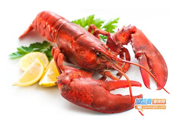 老谢龙虾加盟费