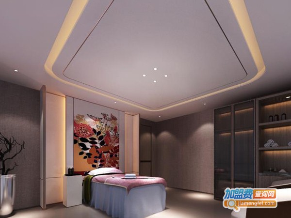 碧无痕妊娠修复加盟费