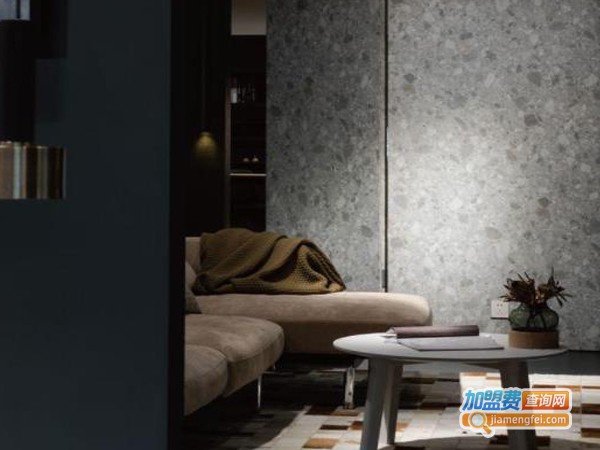 Raysonic全屋定制加盟费