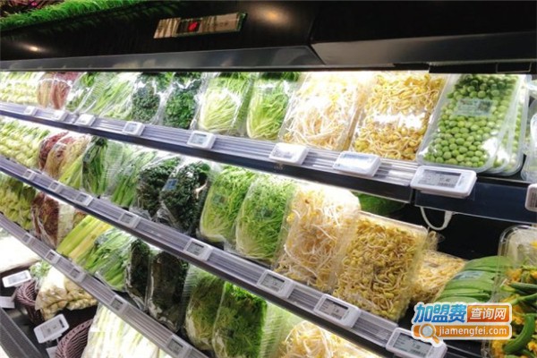 地球港生鲜加盟费