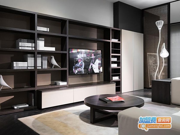 Raysonic全屋定制加盟费