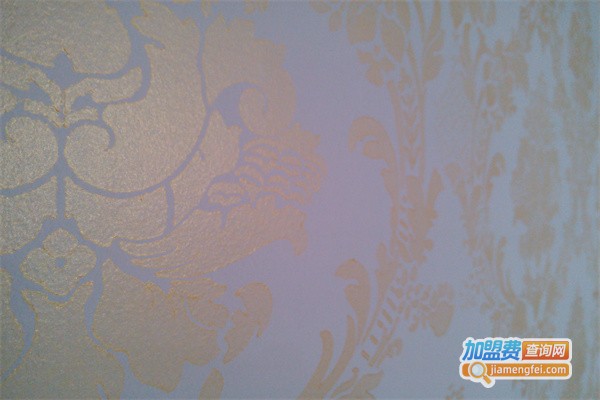 德国达芬艺术墙面加盟