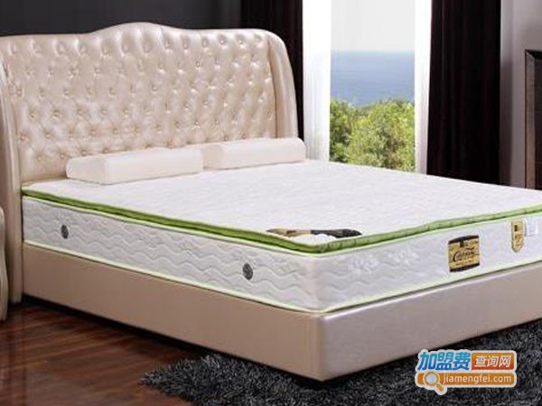 进口床垫加盟费