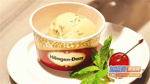 哈根达斯加盟