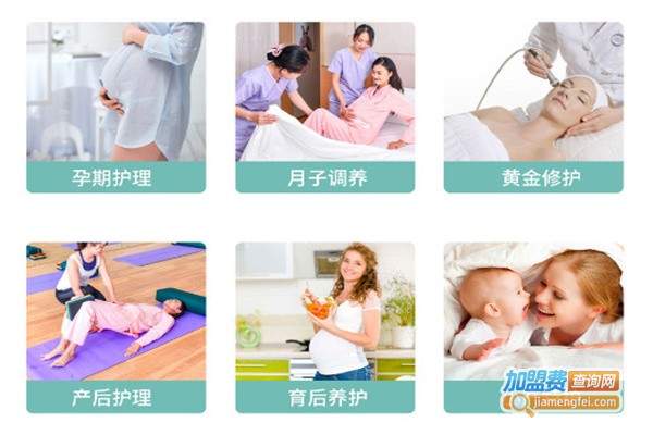 女王志产后恢复加盟