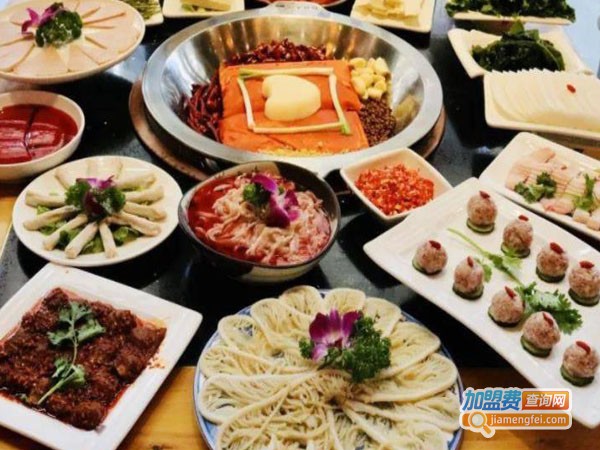 辣九都国韵潮流火锅加盟费