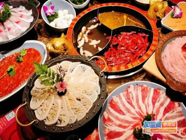 辣九都国韵潮流火锅加盟费