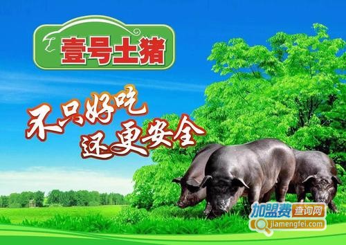 壹号土猪加盟费