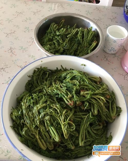 香椿芽咸菜加盟费