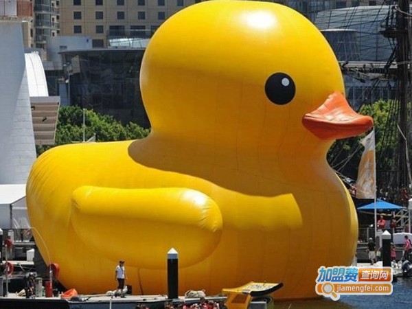 大黄鸭儿童游乐园加盟费
