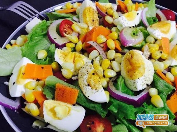 爱丽瘦减肥加盟费