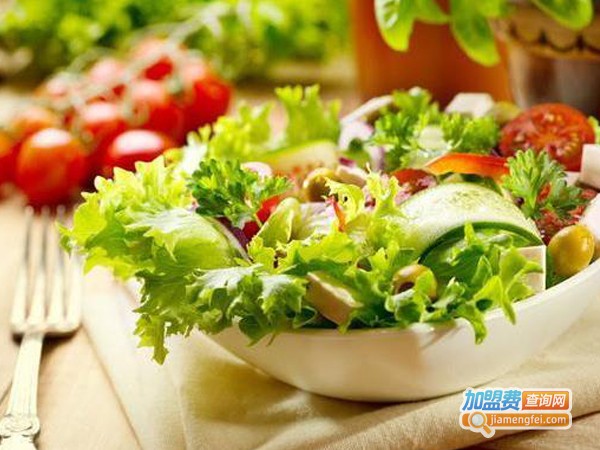 爱丽瘦减肥加盟