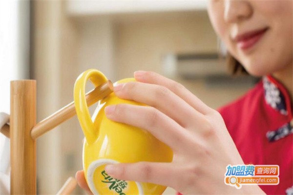 金保姆家居护理加盟