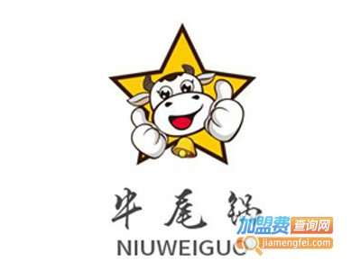 牛尾锅