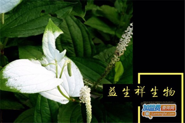 益生祥加盟费