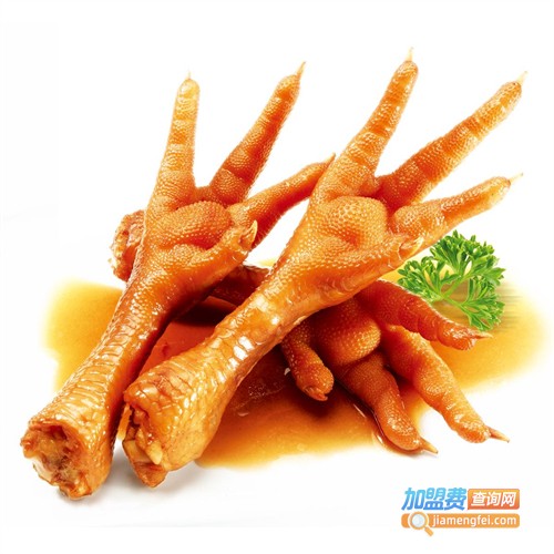 四川降龙爪爪加盟