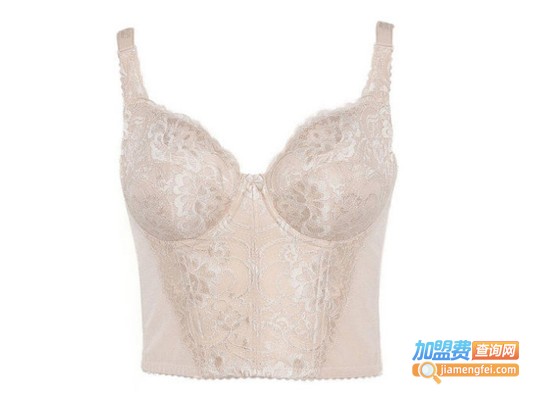 莱特妮丝加盟费