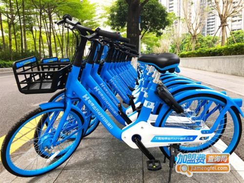 哈罗单车加盟费