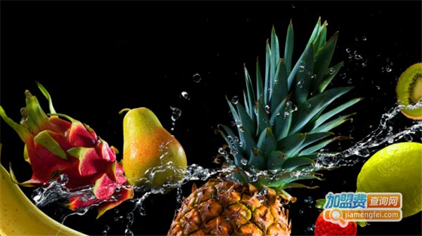 红泥小火炉加盟