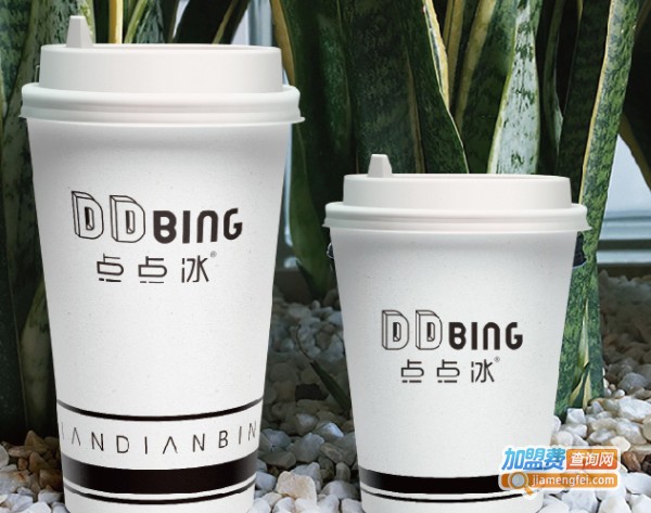 DDbing点点冰加盟费