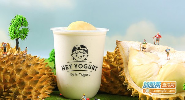 hey yogurt有桃酸奶加盟费