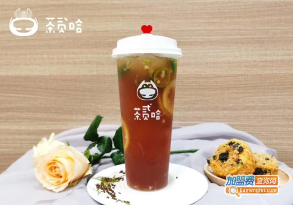 茶贰哈加盟