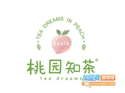 桃园知茶加盟