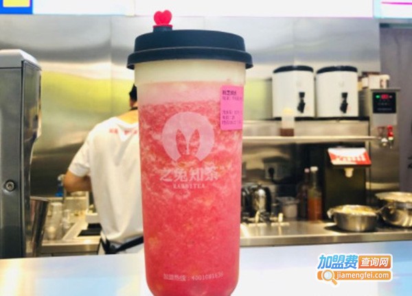 之兔知茶