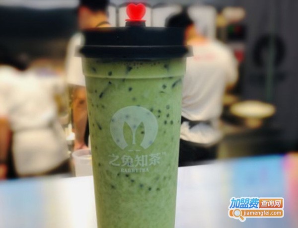 之兔知茶