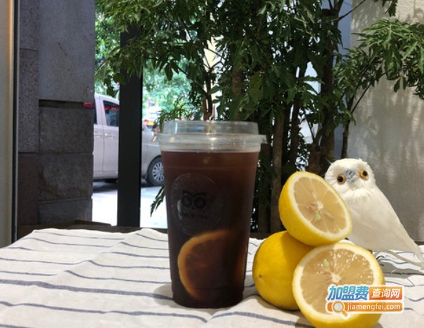 Owl's TEA猫头鹰的柠檬茶