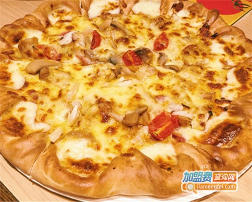 萨路德披萨加盟费